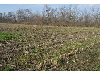 Property photo 17 - 77 +/- Acres Offered in 6 Tracts - Premier Estate Auction